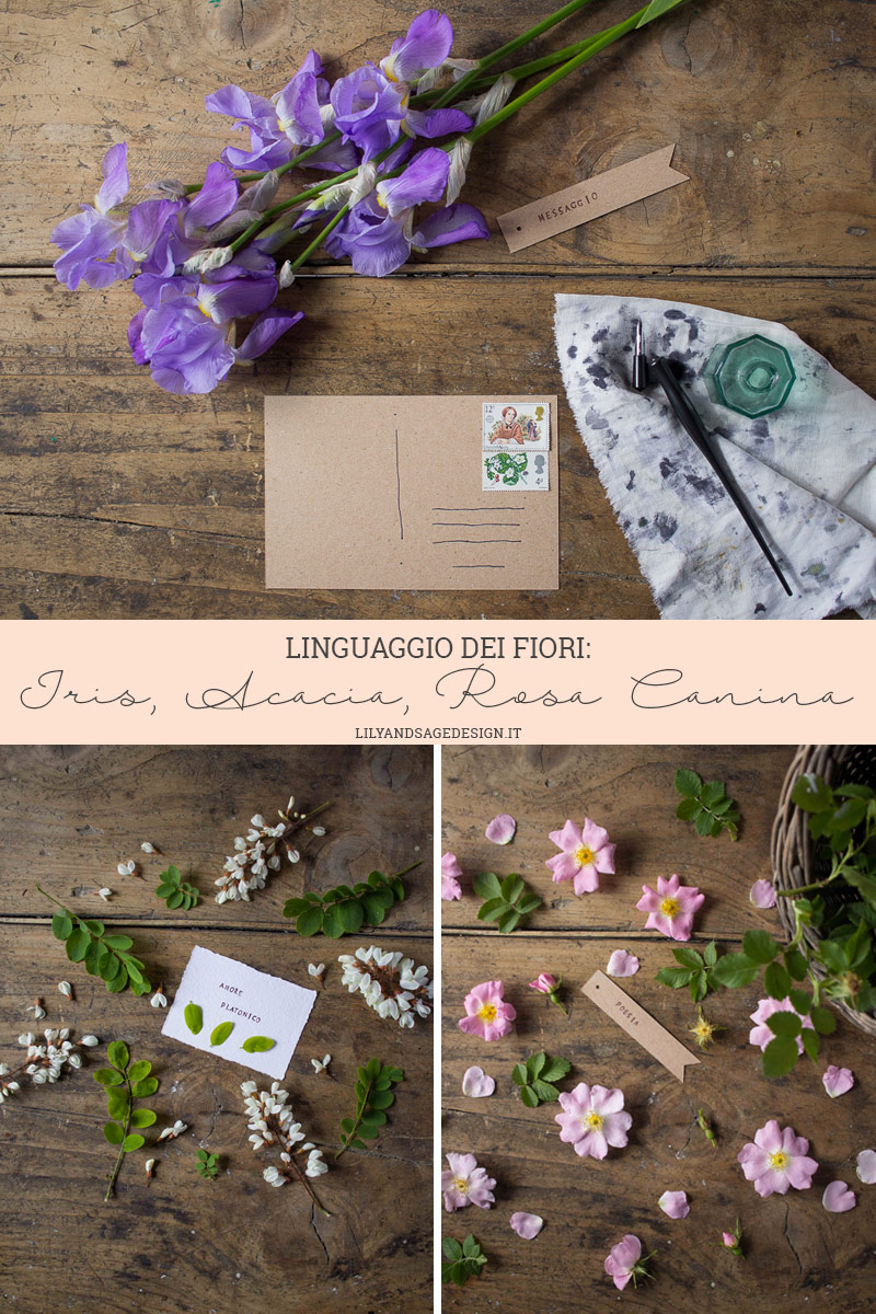 Linguaggio dei Fiori: Iris, Acacia, Rosa Canina - Lily&Sage Design