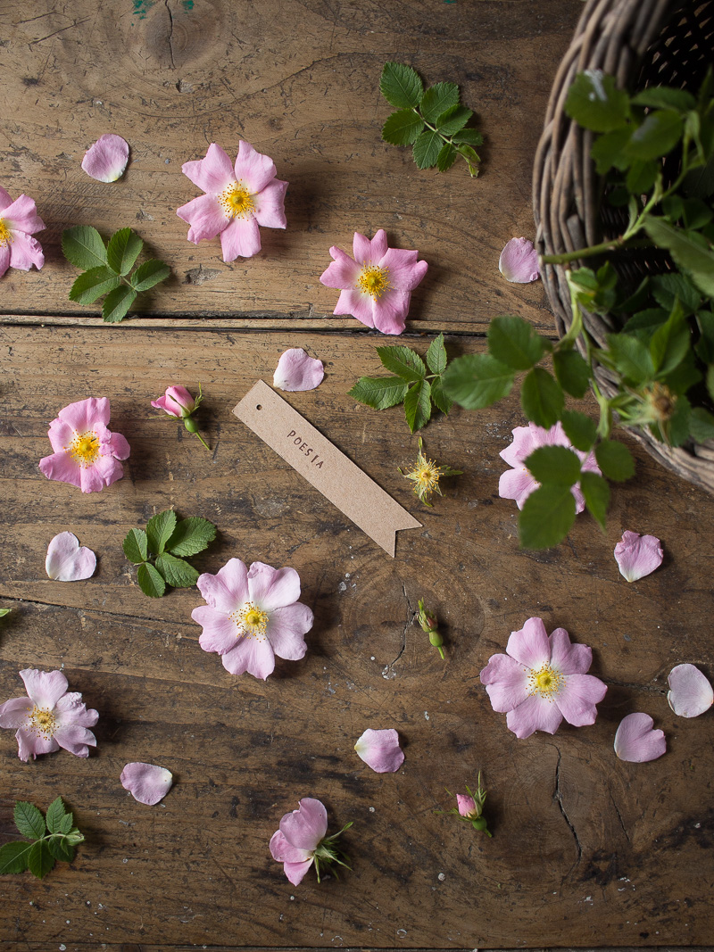 Linguaggio dei Fiori: Rosa Canina, Poesia - Lily&Sage Design
