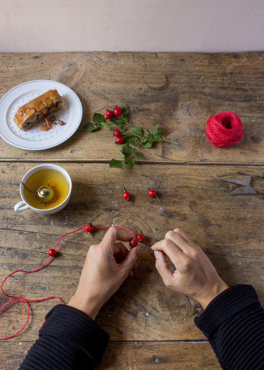 Impacchettare i regali di Natale con il linguaggio dei fiori - Cinorrodi di Rosa Canina - Lily&Sage Design