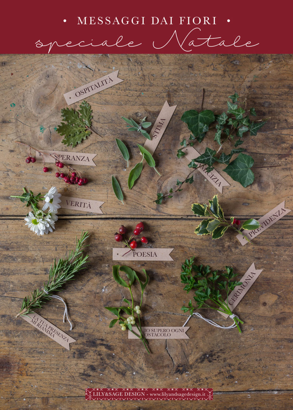 Linguaggio dei fiori - Speciale Natale: Agrifoglio, vischio, edera, rosa canina e molto altro - Lily&Sage Design